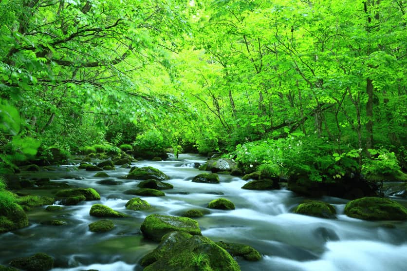 Oirase Keiryu Mountain Stream Hot Spring