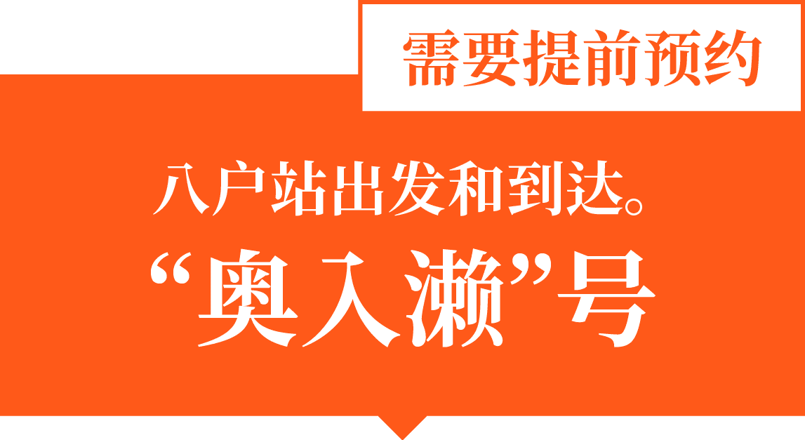 八戸駅発　“奥入濑”号