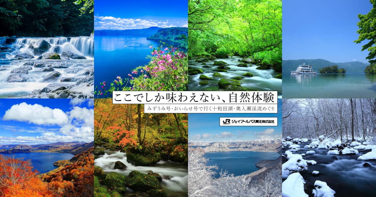 ここでしか味わえない、自然体験 | JRバス東北