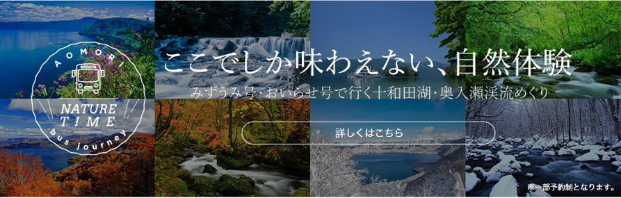 JRバス東北 　日野セレガハイデッカー　みずうみ号「十和田湖」行 JRバス東北 日野セレガハイデッカー みずうみ号「十和田湖」行